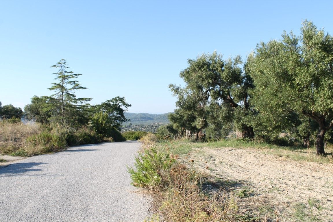 Terrain à Kassandra, Grèce, 5 058 m² - image 4