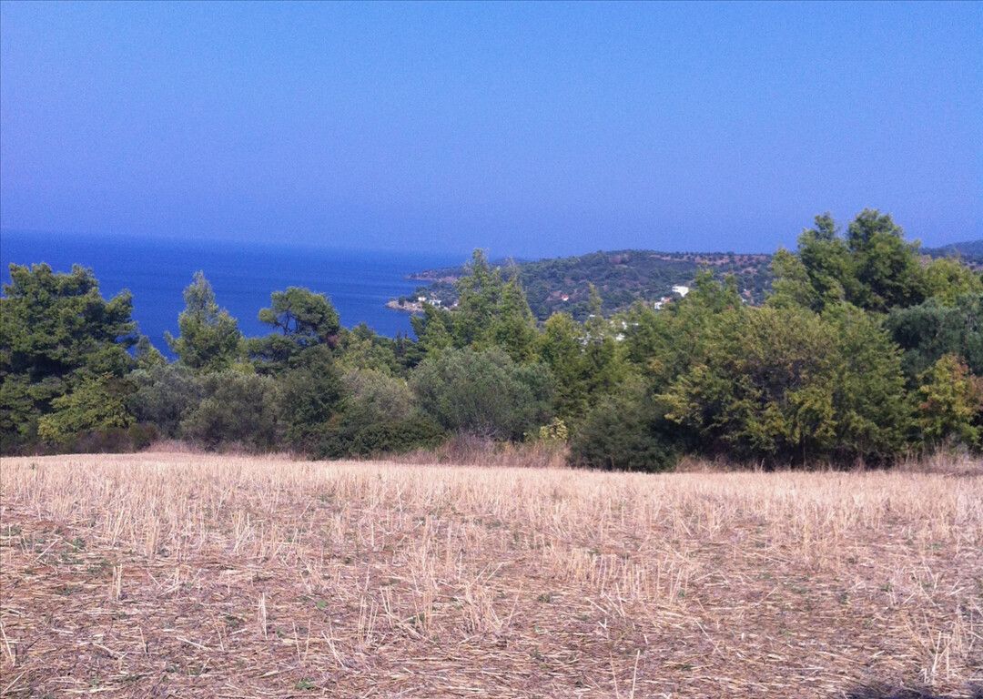 Terreno a Kassandra, Grecia, 10 170 m2 - foto 4