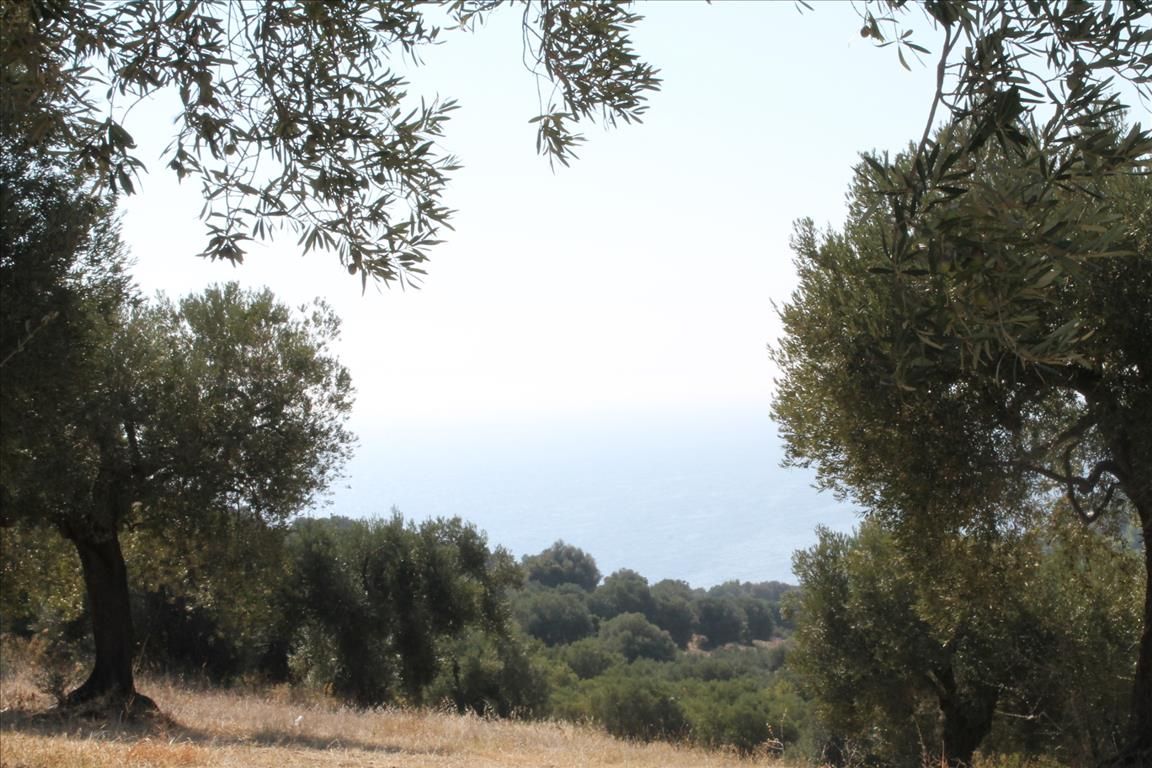 Terreno en Kassandra, Grecia, 20 000 m² - imagen 5