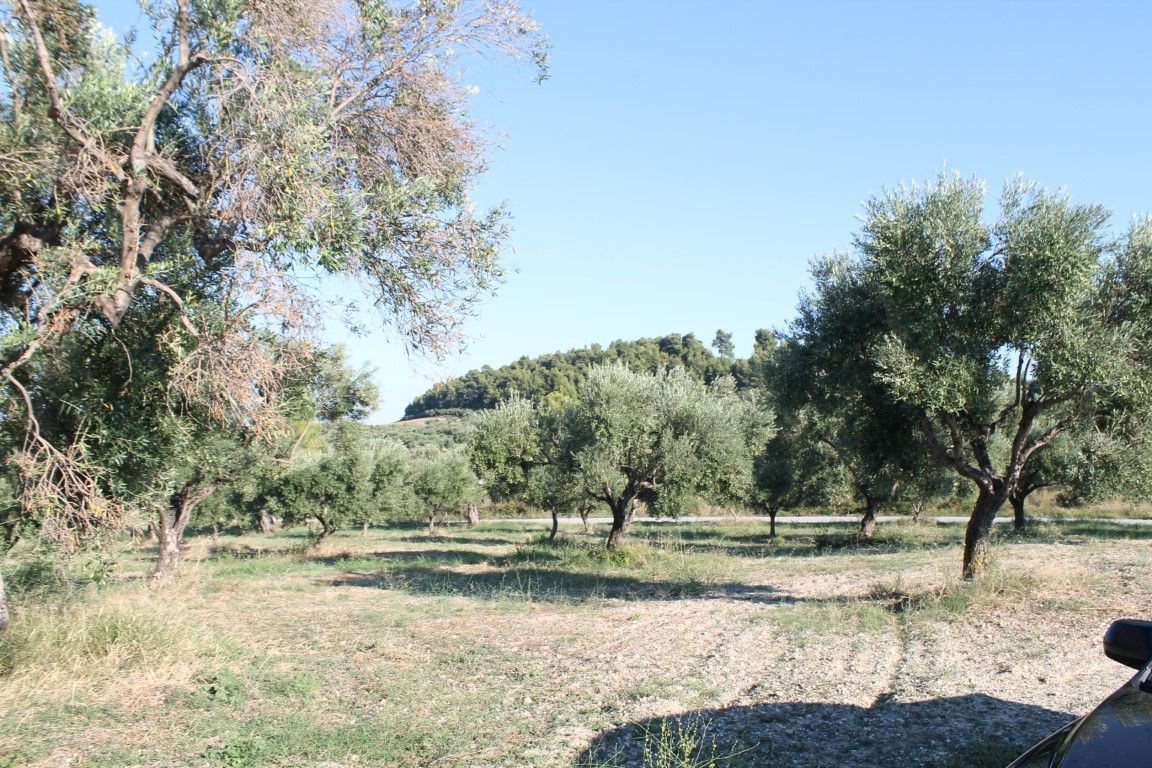 Terrain à Kassandra, Grèce, 5 058 m² - image 5