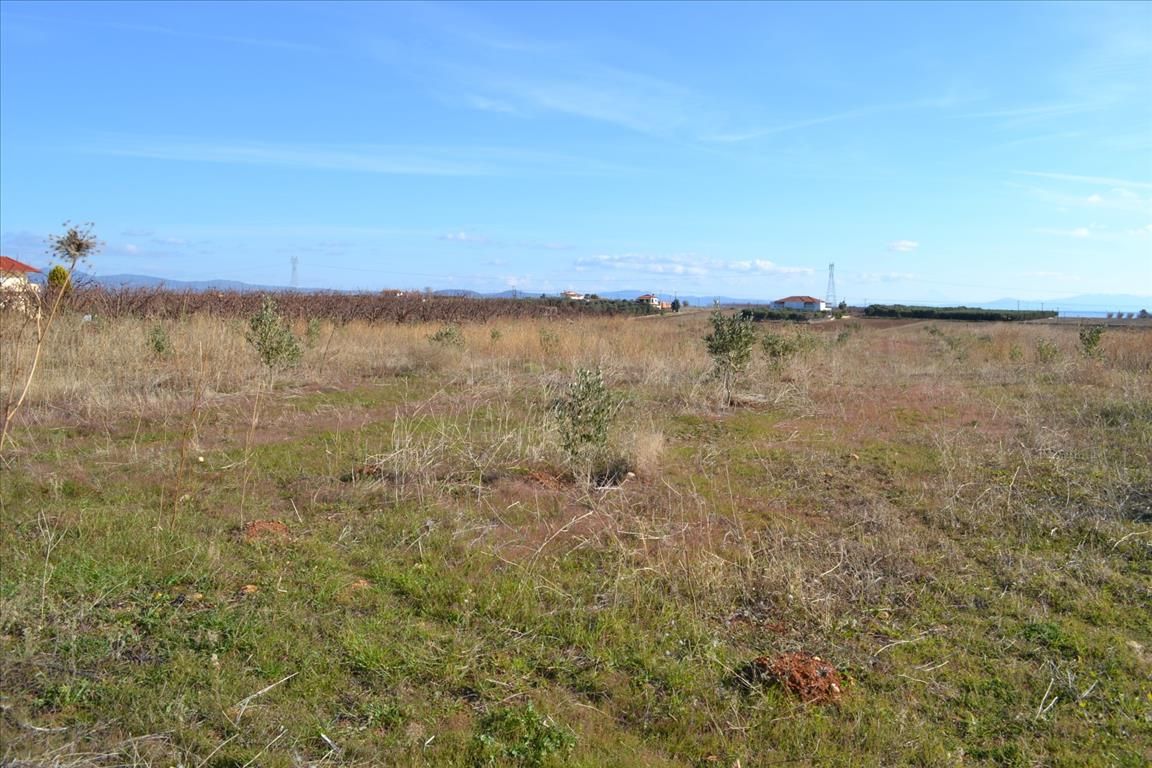 Land in Kassandra, Greece, 10 000 m² - picture 5