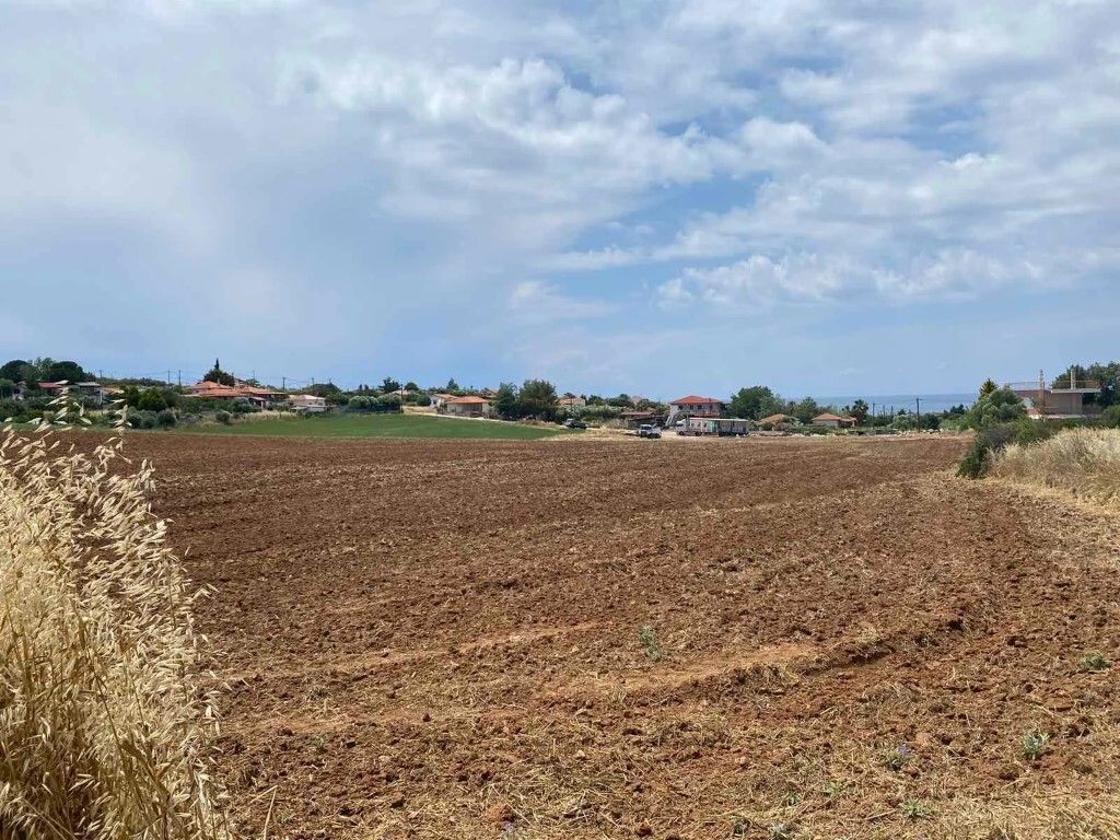 Land in Kassandra, Greece, 14 500 m² - picture 6