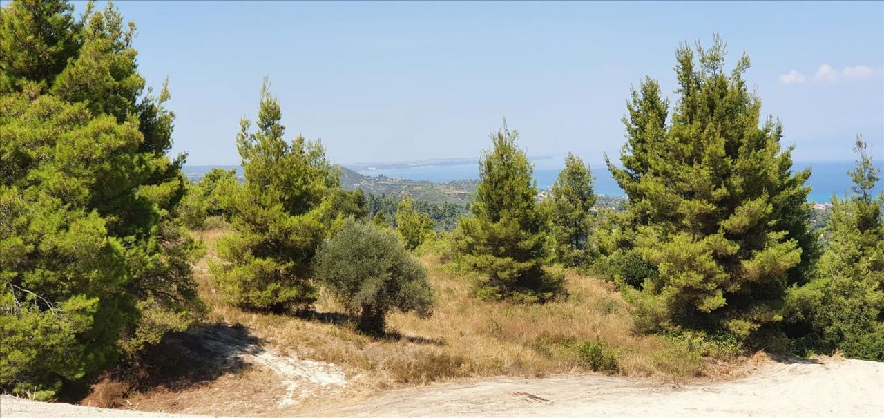 Terreno a Kassandra, Grecia, 16 000 m2 - foto 6