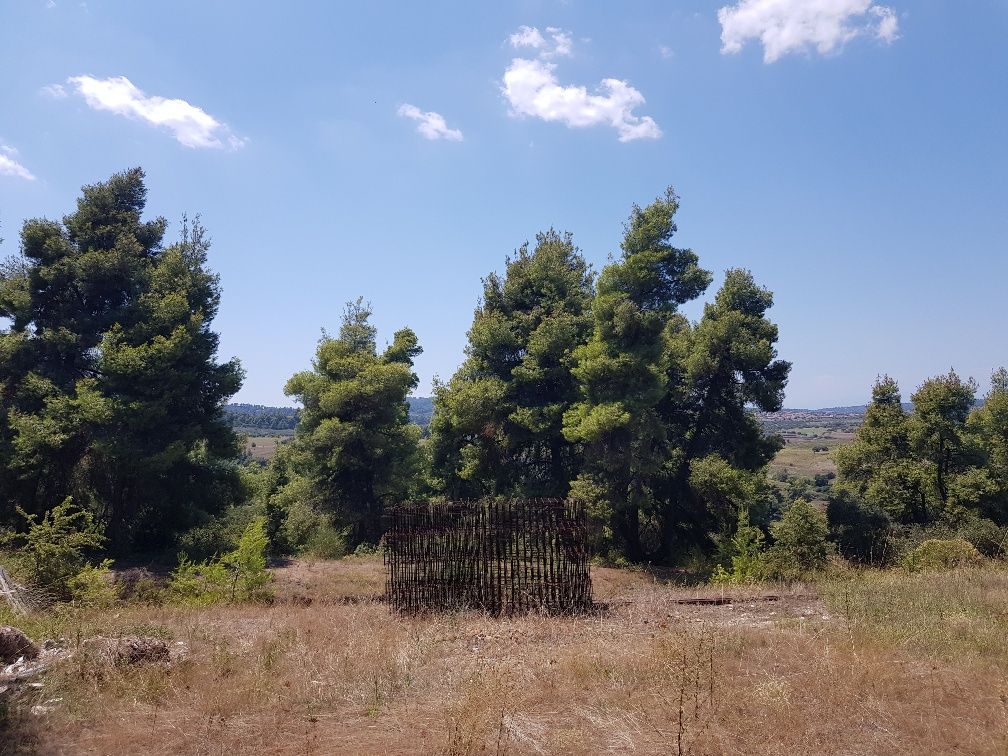 Terrain à Kassandra, Grèce, 11 000 m² - image 6