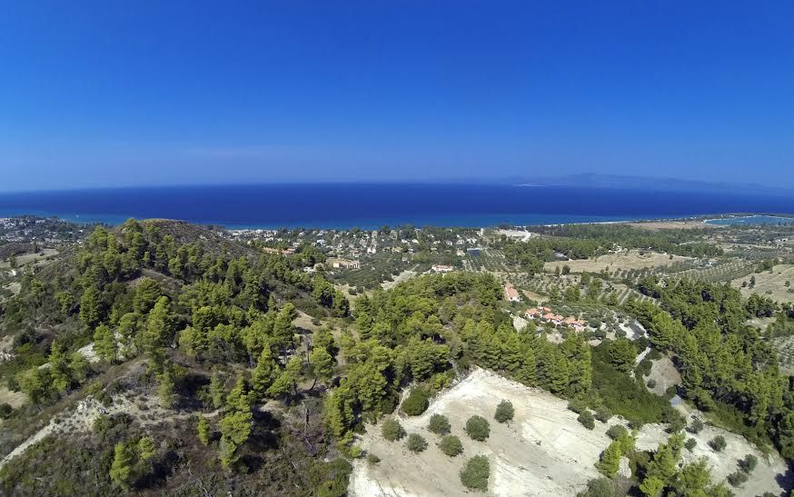 Terrain à Kassandra, Grèce, 12 000 m² - image 6