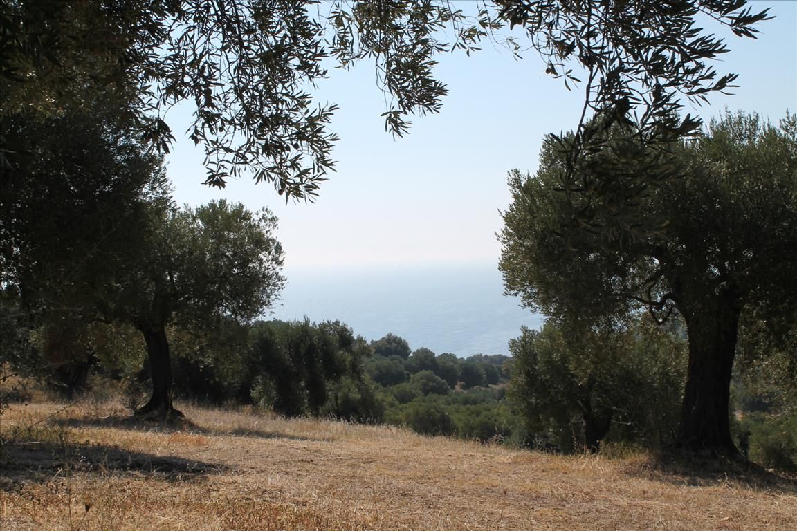 Terreno en Kassandra, Grecia, 20 000 m² - imagen 6