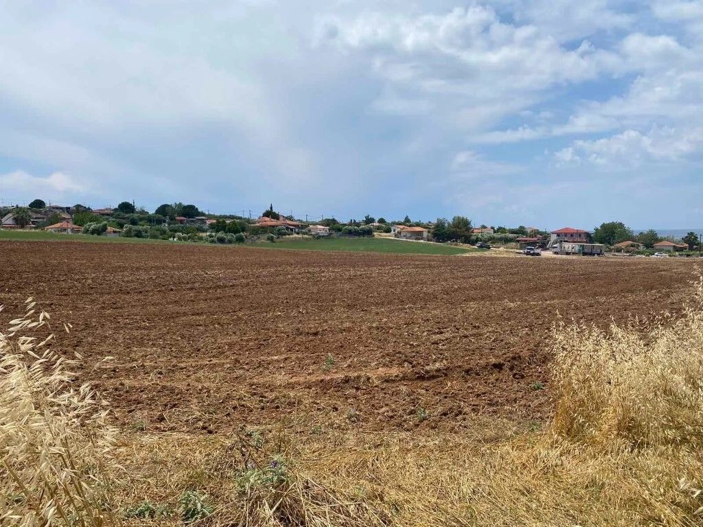 Land in Kassandra, Greece, 14 500 m² - picture 7