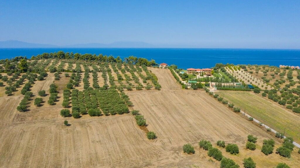Terreno a Kassandra, Grecia, 9 900 m2 - foto 7
