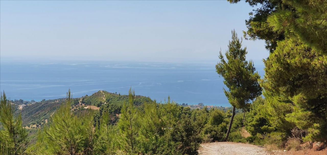 Grundstück in Kassandra, Griechenland, 15 000 m² - Foto 7