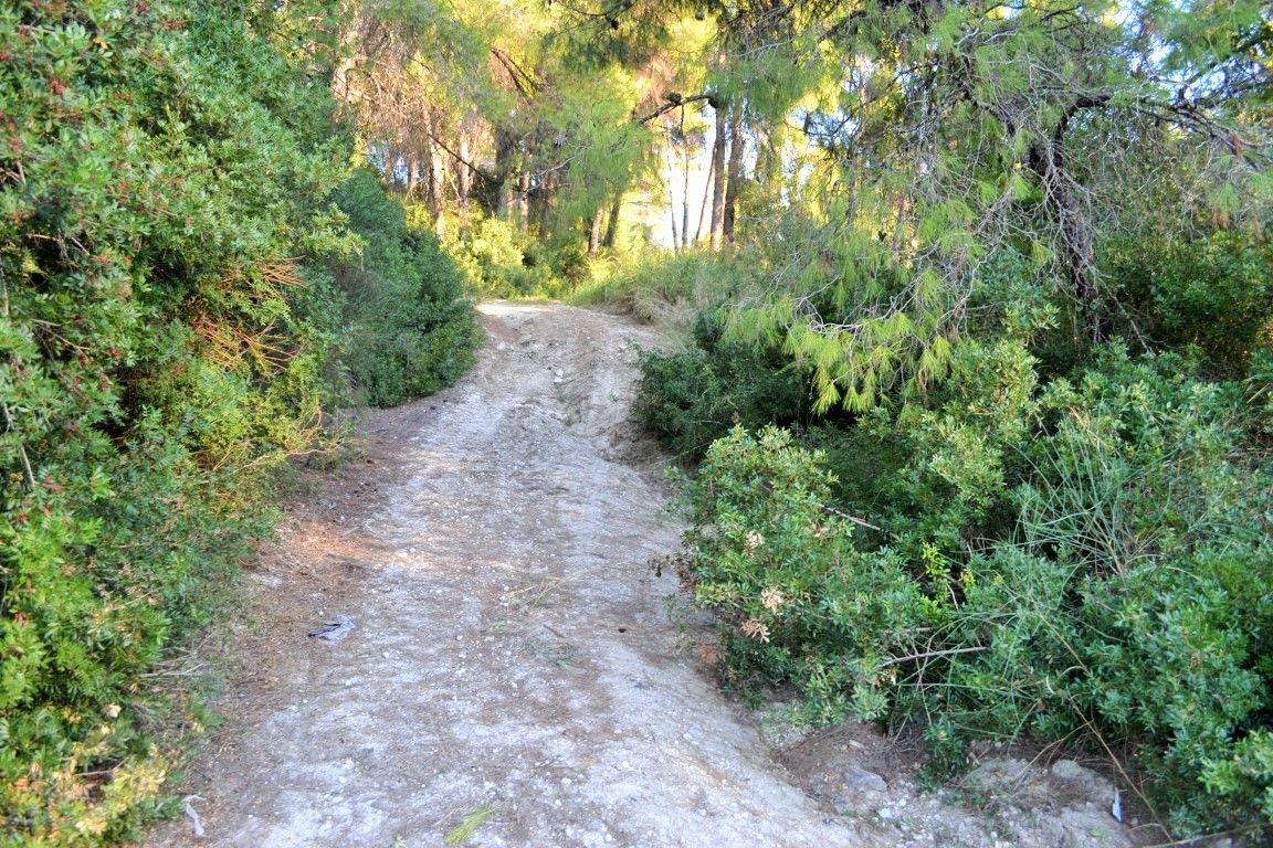 Terreno en Kassandra, Grecia, 5 230 m² - imagen 7