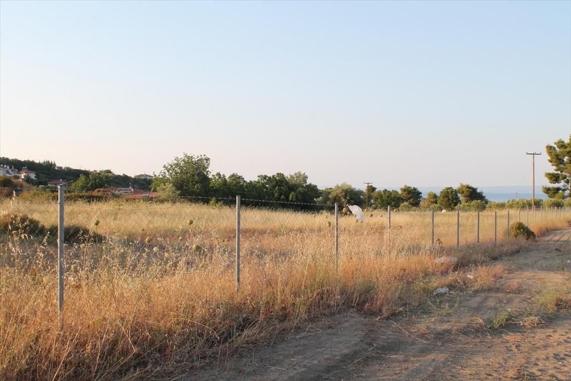 Land in Kassandra, Greece, 12 000 m² - picture 7