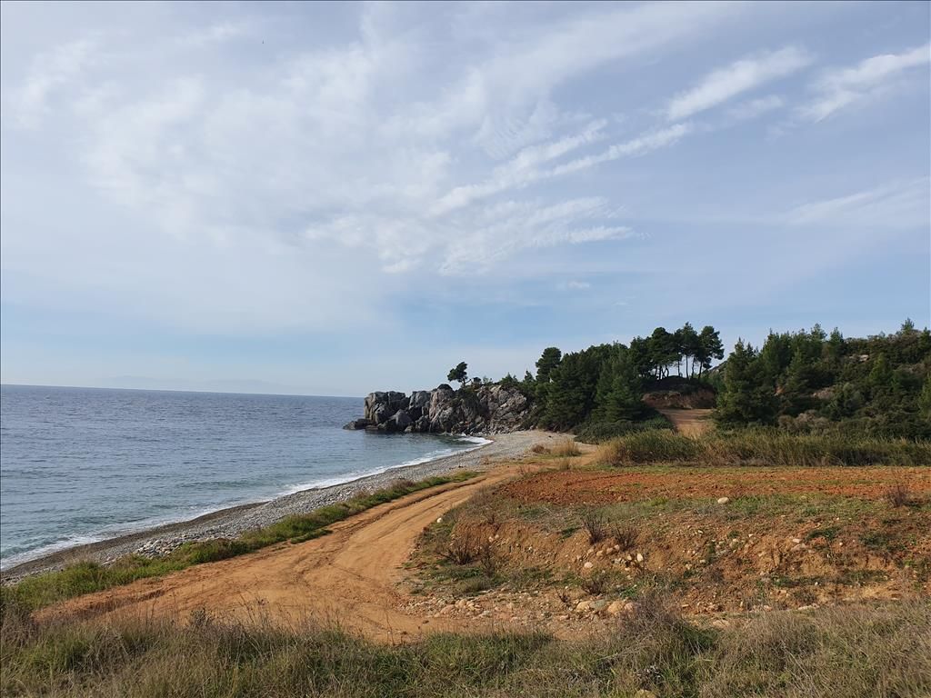 Terreno a Kassandra, Grecia, 10 000 m2 - foto 8
