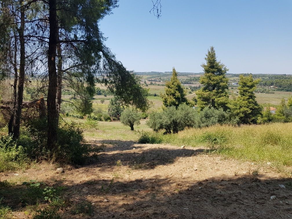 Terrain à Kassandra, Grèce, 11 000 m² - image 11