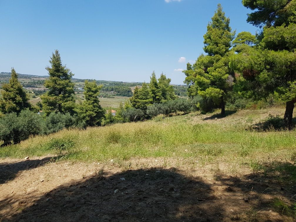 Terrain à Kassandra, Grèce, 11 000 m² - image 12