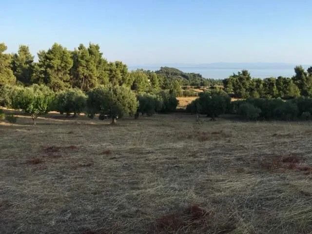 Land in Kassandra, Greece, 8 687 m² - picture 1