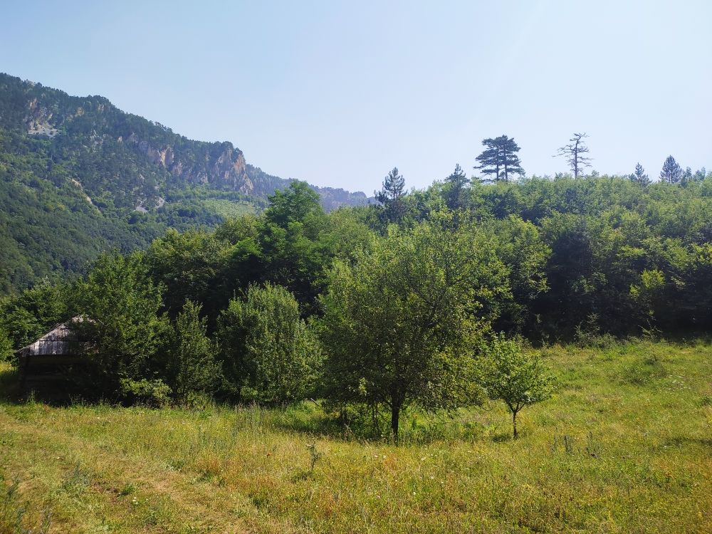 Land in Mojkovac, Montenegro, 2 ha - picture 7
