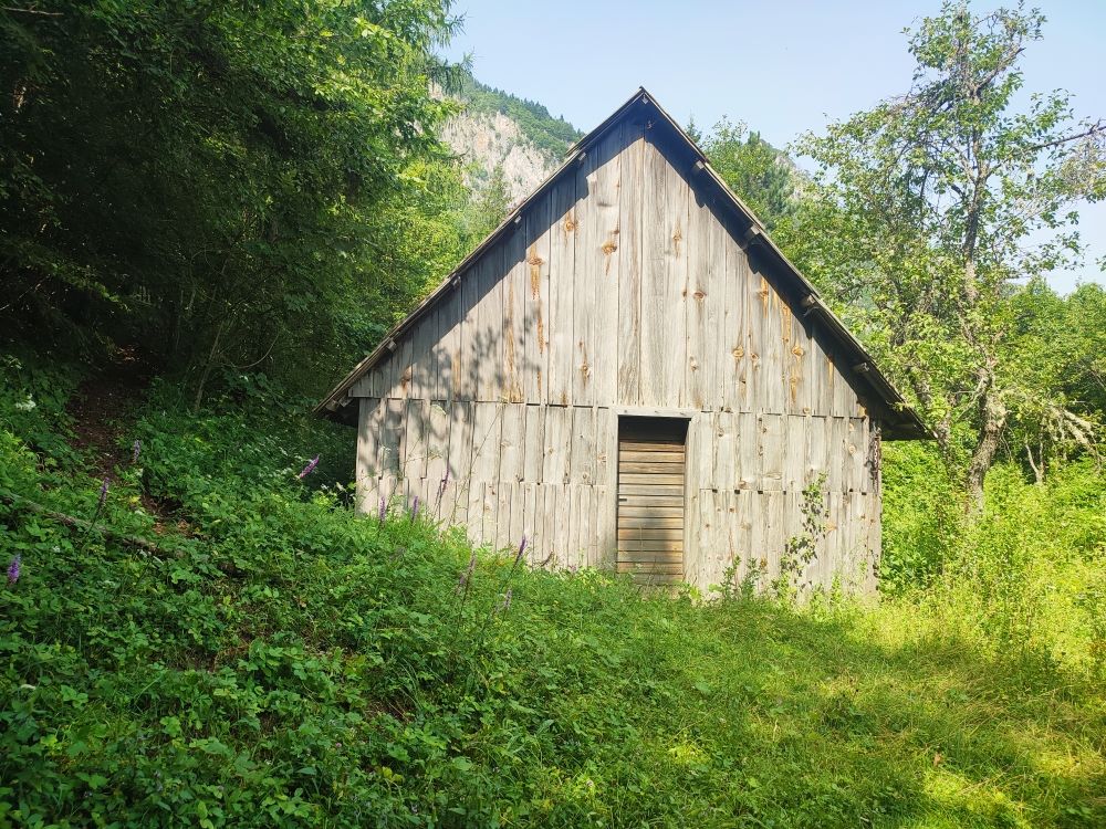Land in Mojkovac, Montenegro, 2 ha - picture 11