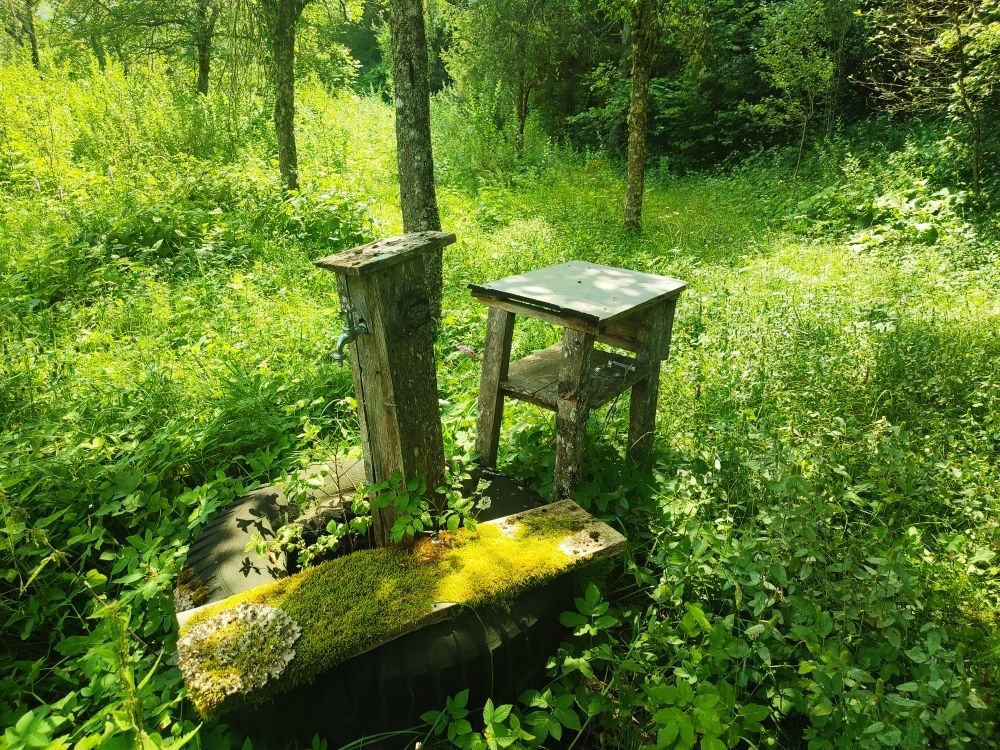 Land in Mojkovac, Montenegro, 2 ha - picture 9