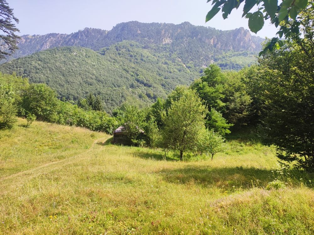 Land in Mojkovac, Montenegro, 2 ha - picture 15