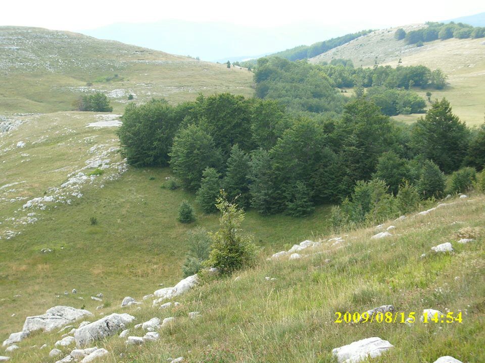 Terreno a Nikšić, Montenegro, 15 000 m2 - foto 6