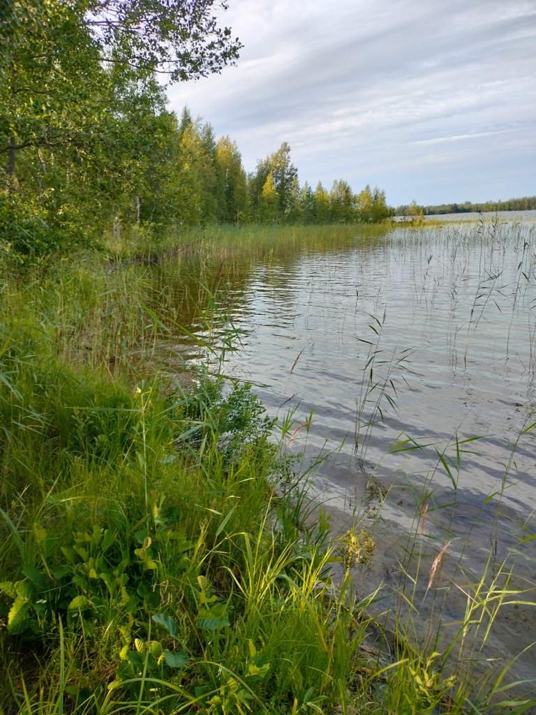 Terreno a Rantasalmi, Finlandia, 5 520 m2 - foto 4