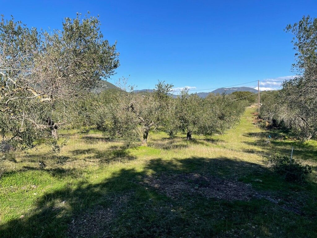 Terrain à Corfou, Grèce, 5 000 m² - image 4
