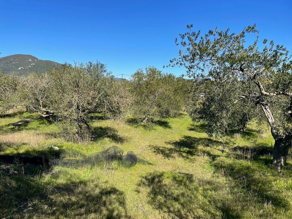 Terrain à Corfou, Grèce, 5 000 m² - image 7