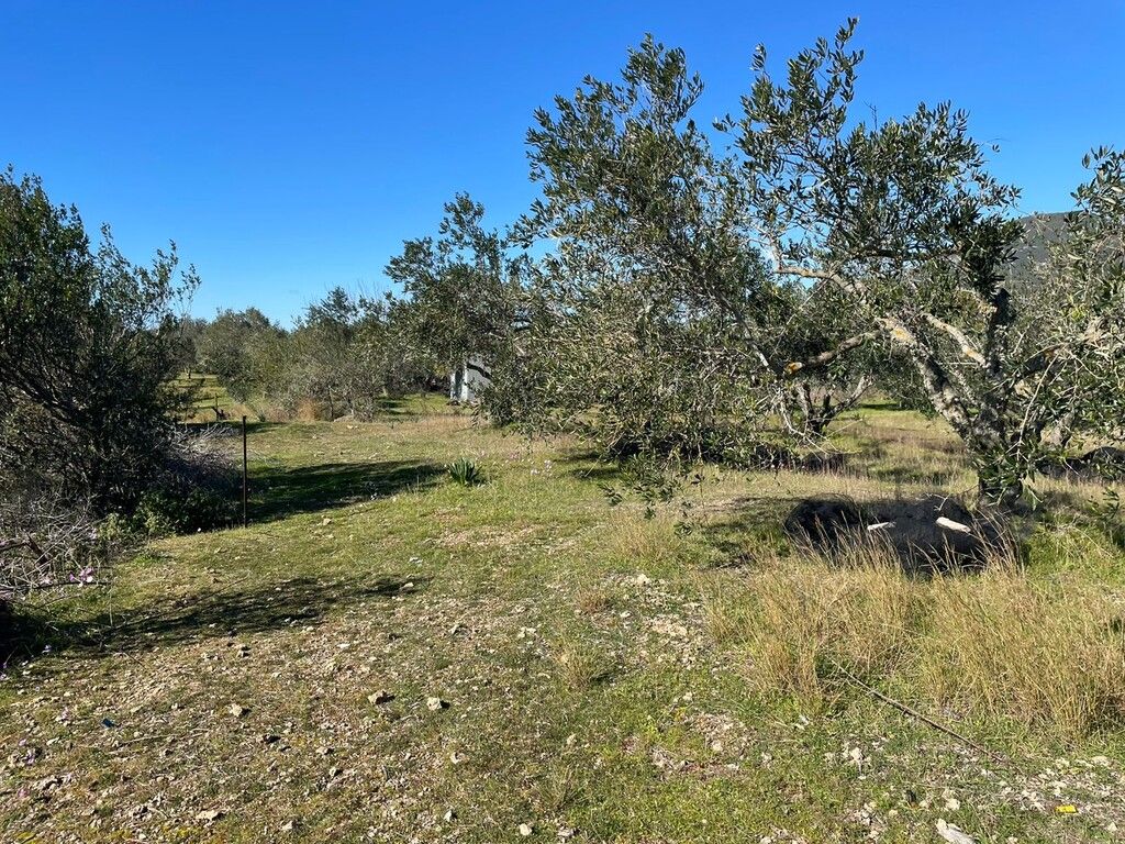 Terrain à Corfou, Grèce, 5 000 m² - image 8