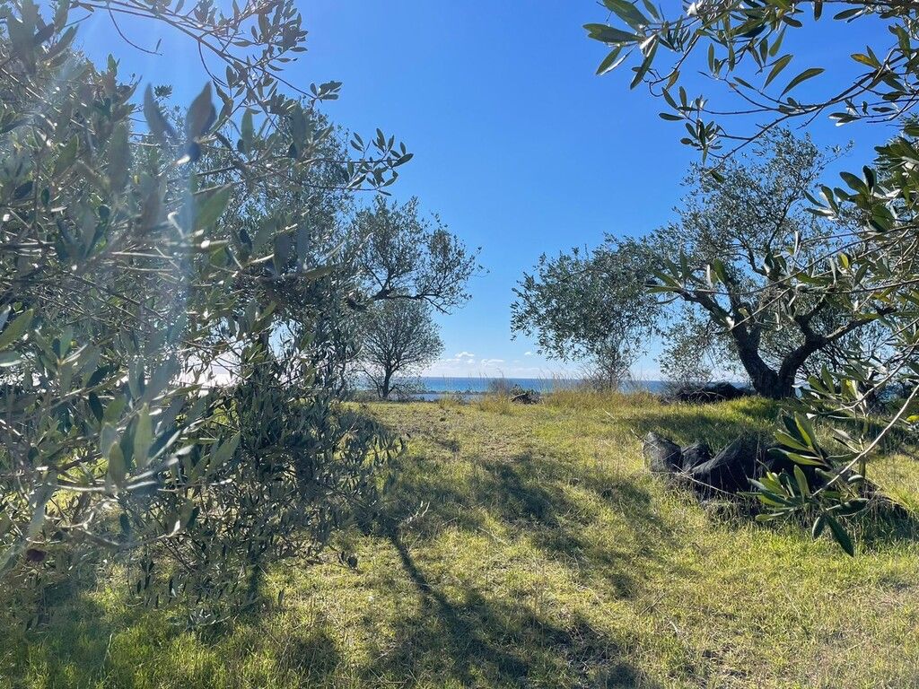 Terrain à Corfou, Grèce, 5 000 m² - image 10