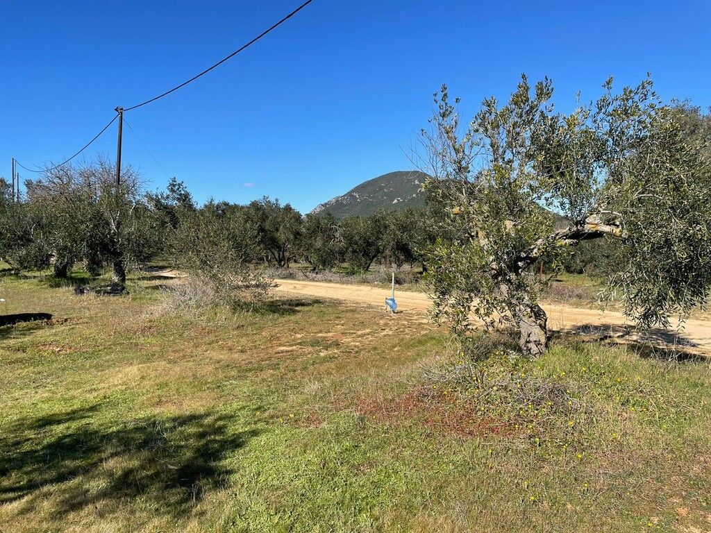 Terrain à Corfou, Grèce, 5 000 m² - image 12