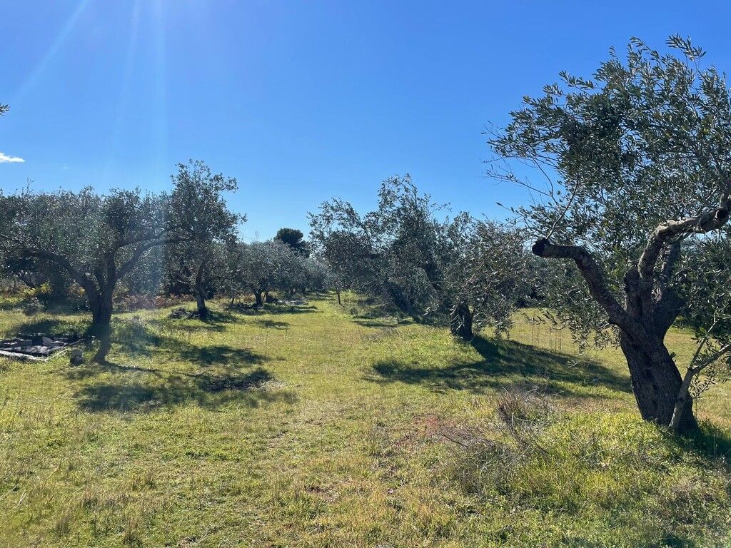 Terrain à Corfou, Grèce, 5 000 m² - image 13