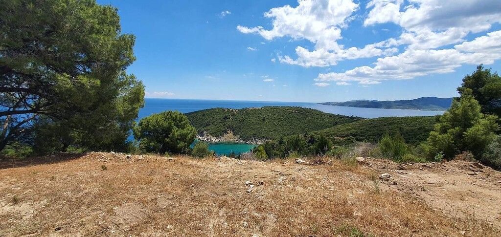 Terreno en Sitonia, Grecia, 12 000 m² - imagen 13