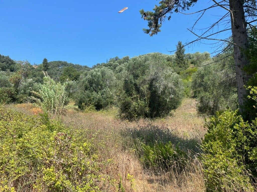 Terrain à Corfou, Grèce, 11 450 m² - image 1