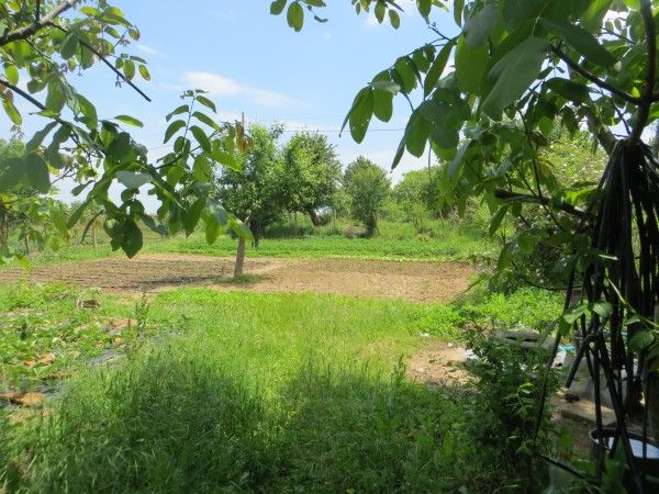 Casa en Momina Tsarkva, Bulgaria, 120 m² - imagen 4