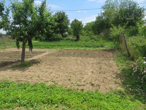 Casa en Momina Tsarkva, Bulgaria, 120 m² - imagen 7