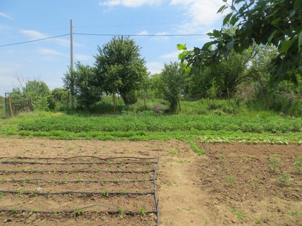 Casa en Momina Tsarkva, Bulgaria, 120 m² - imagen 8