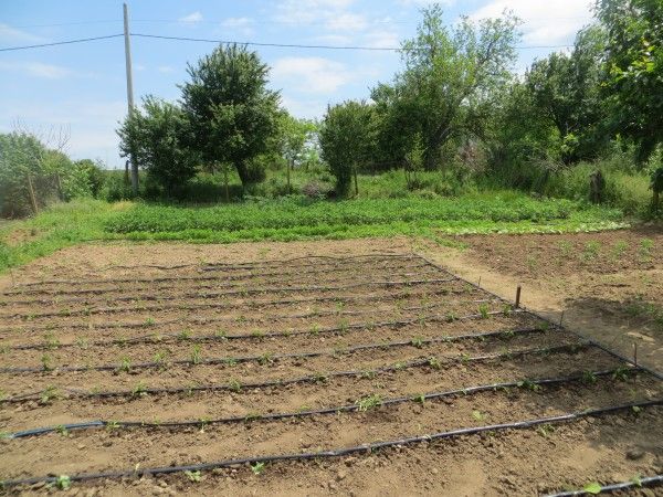 Casa en Momina Tsarkva, Bulgaria, 120 m² - imagen 9