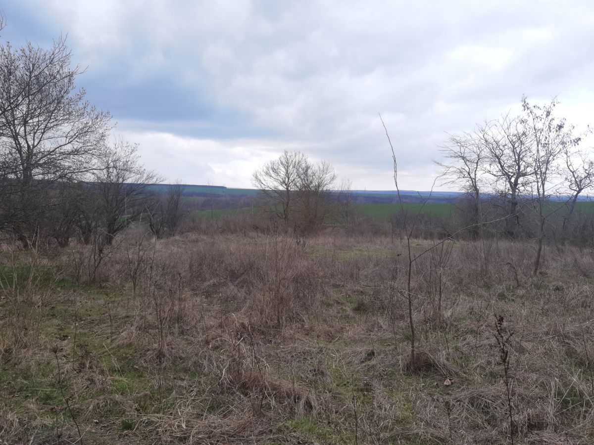 Casa a Voinika, Bulgaria, 100 m² - foto 7