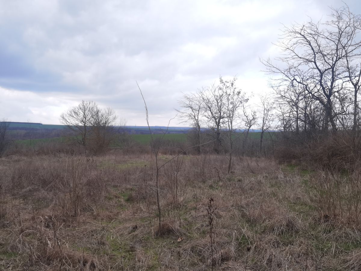 Casa a Voinika, Bulgaria, 100 m² - foto 8