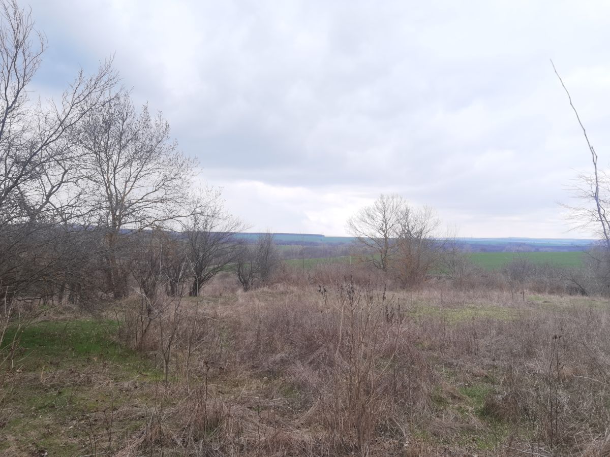 Casa a Voinika, Bulgaria, 100 m² - foto 10