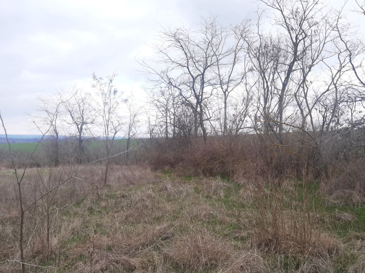 Casa a Voinika, Bulgaria, 100 m² - foto 12