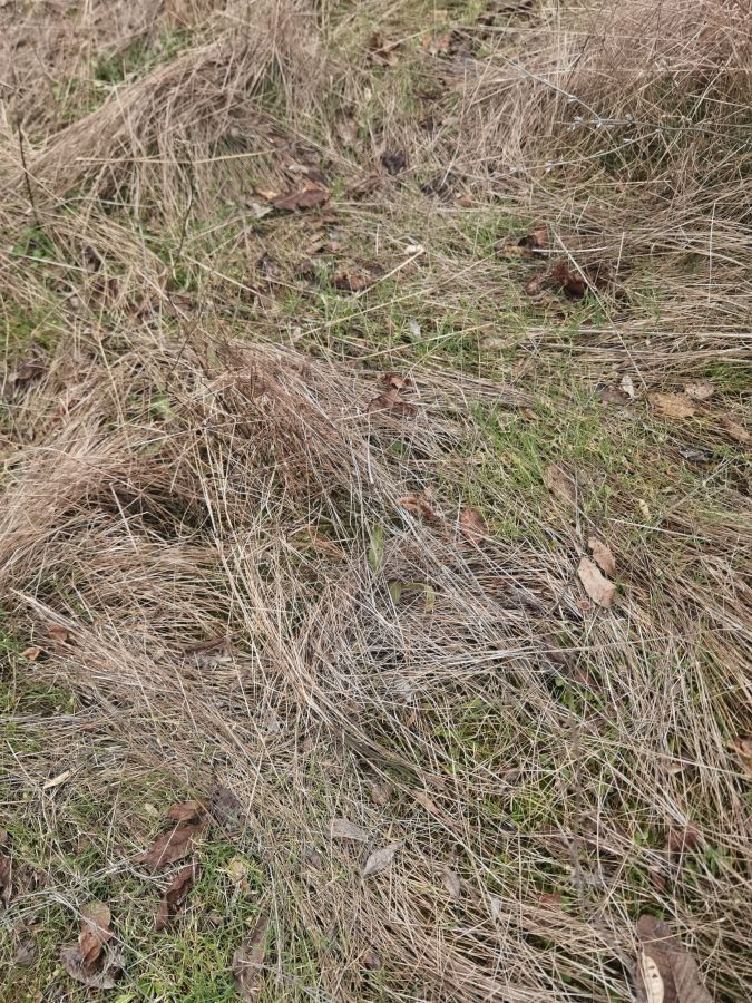 Casa a Voinika, Bulgaria, 100 m² - foto 14