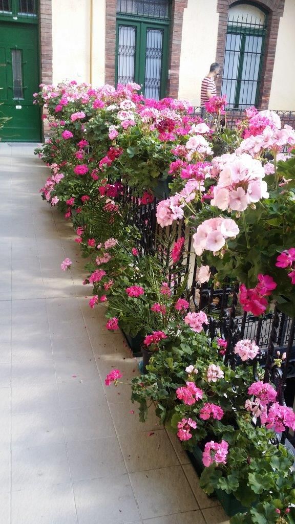 Appartement à Budapest, Hongrie, 100 m² - image 3