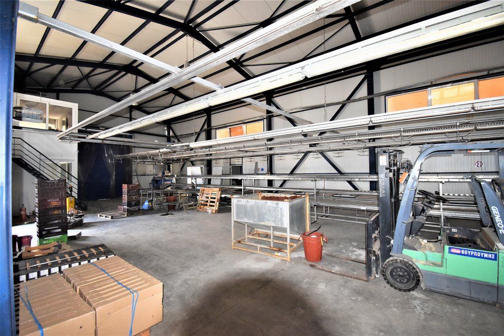 Propiedad comercial en Corinto, Grecia, 1 250 m² - imagen 16