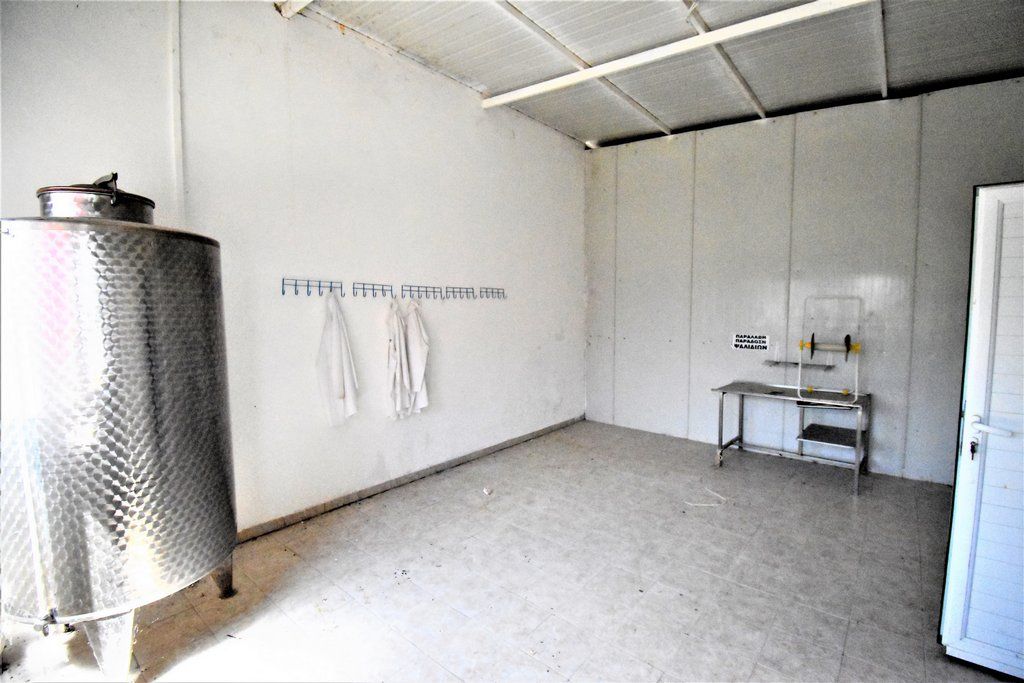 Propiedad comercial en Corinto, Grecia, 1 250 m² - imagen 8