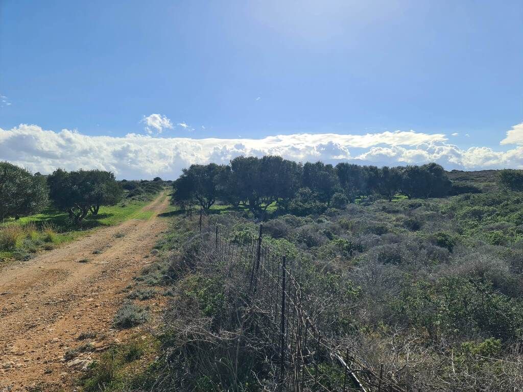 Terreno a Heraklion, Grecia, 24 000 m2 - foto 2