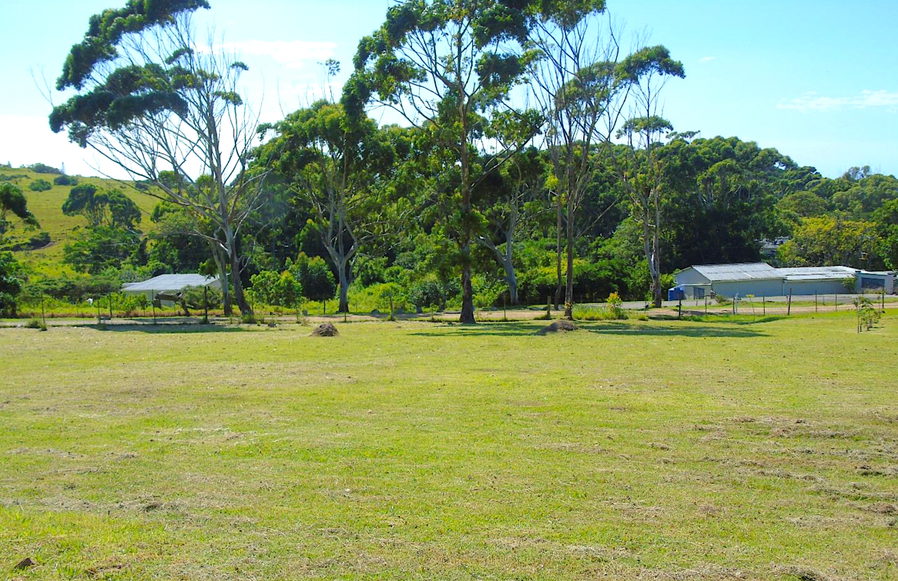 Land Eastern Cape, RSA, 1 438 m² - picture 2