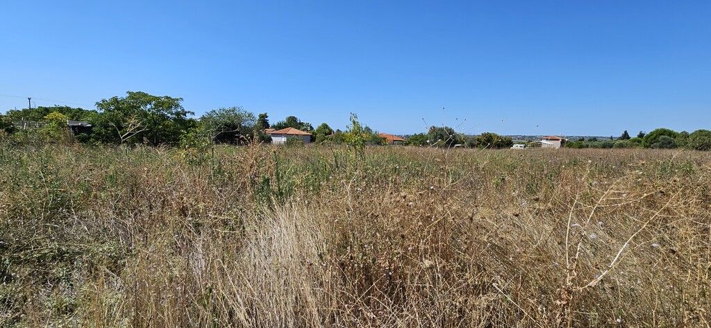 Terrain en Chalcidique, Grèce, 7 000 m² - image 2