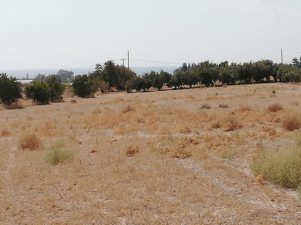 Terrain à Paphos, Chypre, 13 400 m² - image 1