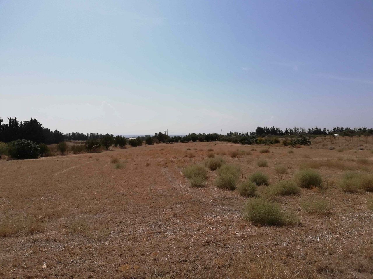 Grundstück in Paphos, Zypern, 13 400 m² - Foto 2